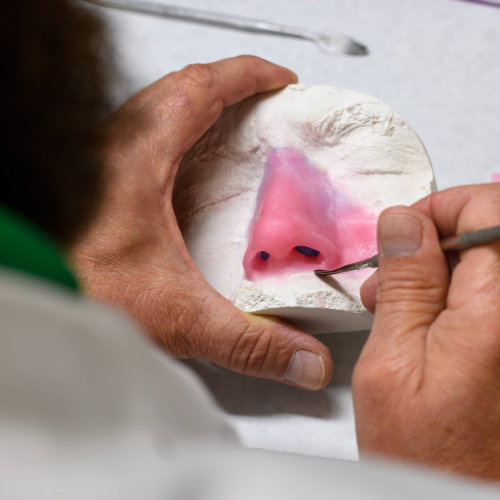 Restorative Sciences research